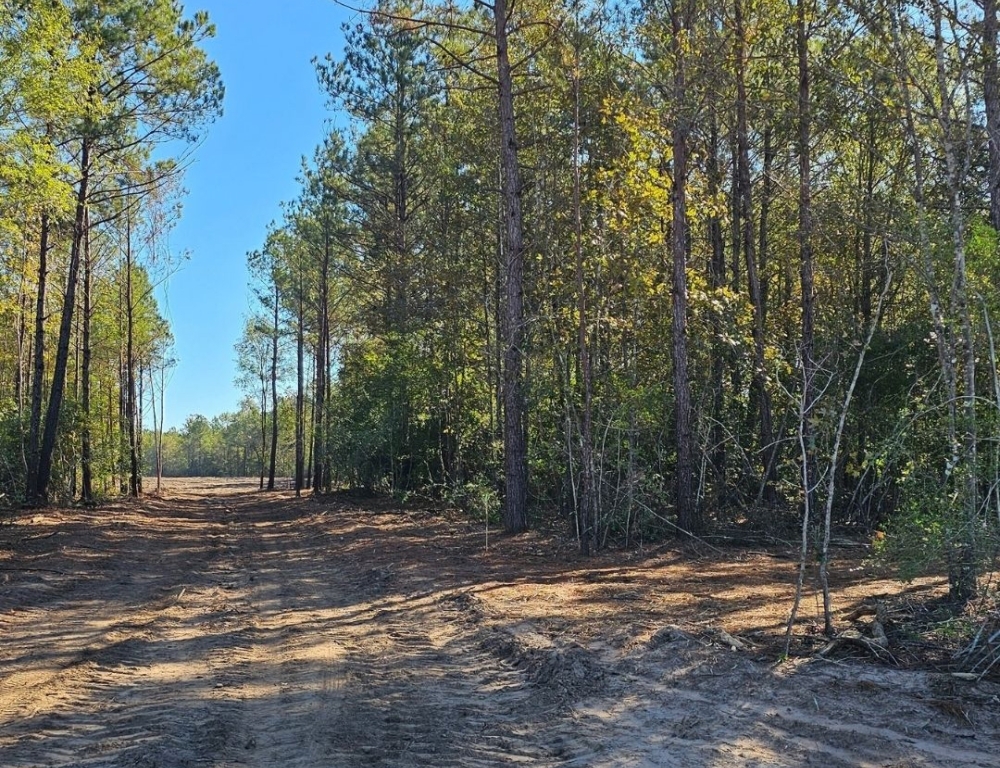 acreage community near Magnolia, TX