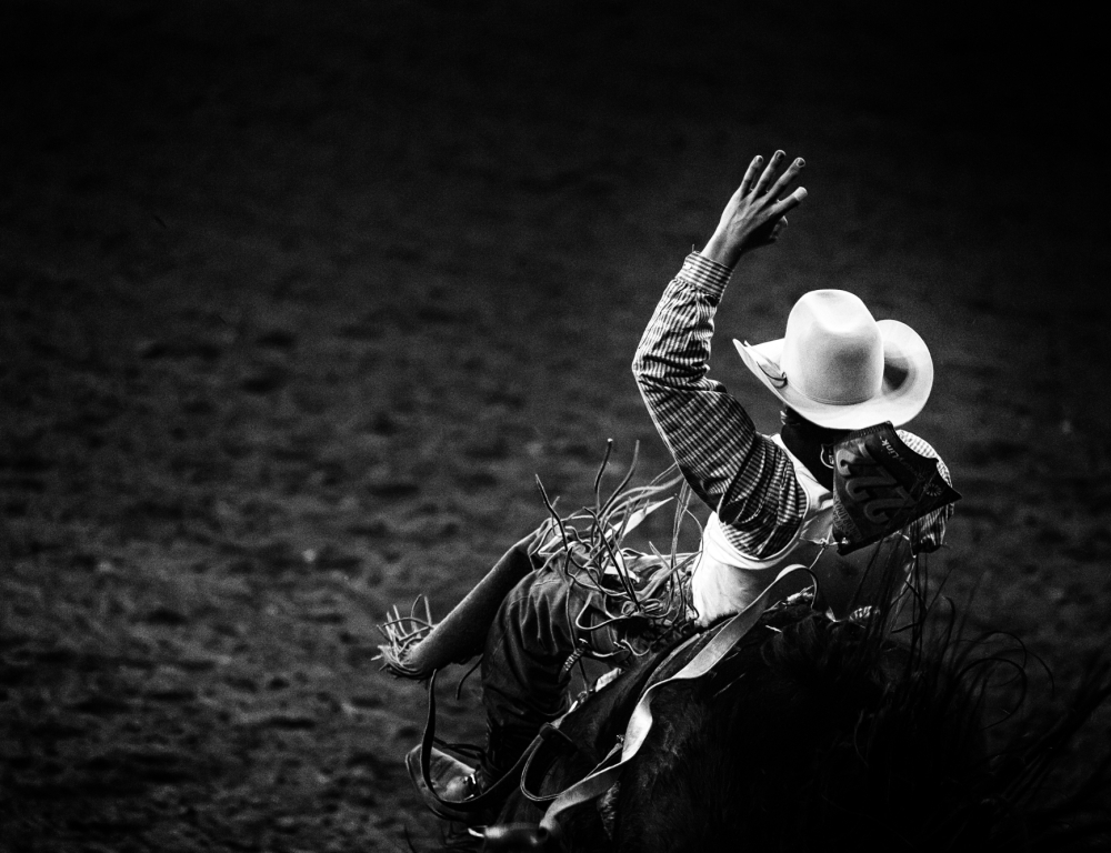 rodeo 