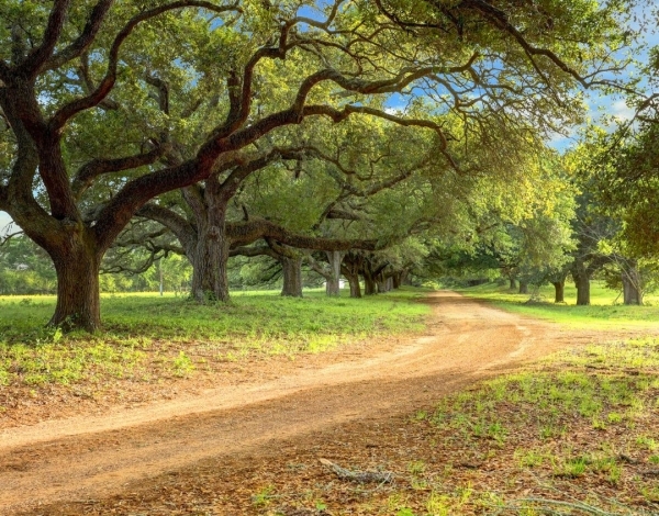 acreage homesites for sale in Houston