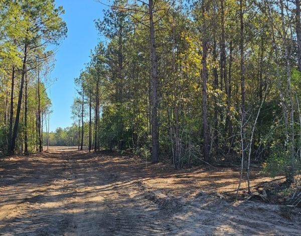 acreage community near Magnolia, TX