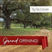 The Cedars Grand Opening