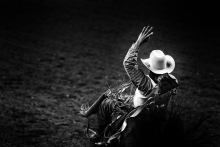 rodeo 