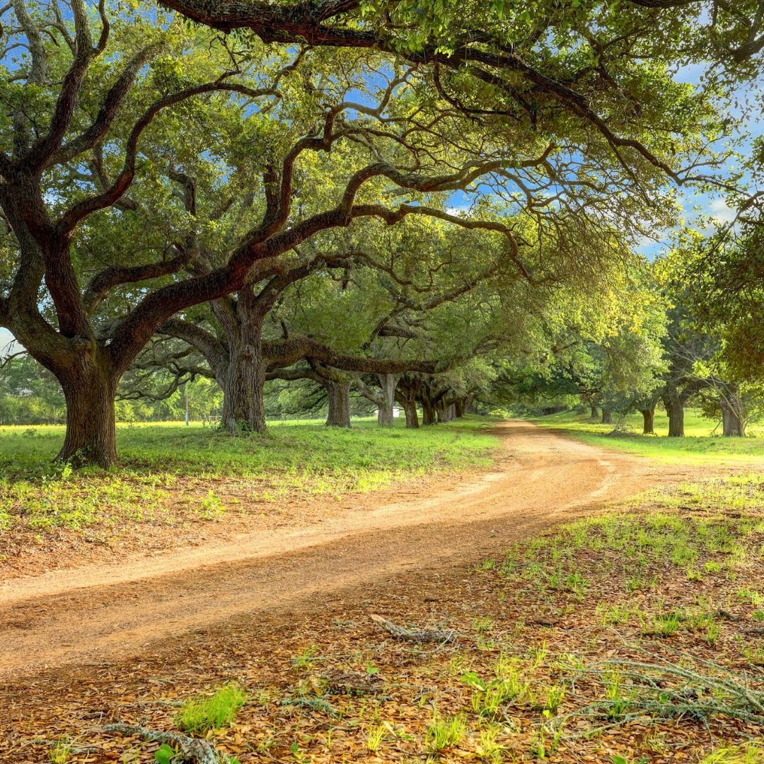 acreage homesites for sale in Houston