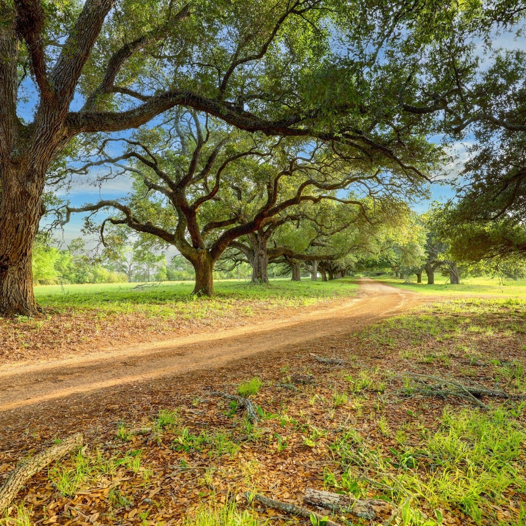 estate-style living in North Houston