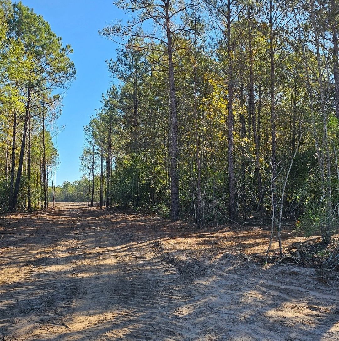 acreage community near Magnolia, TX